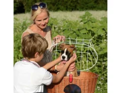 KLICKFIX Racktime Doggy Plus Hundekurv til cykel - Op til 8 kg -Specialized Salgsbutik 0399k 6