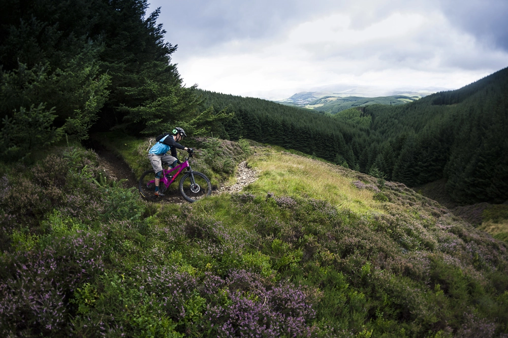 Forside 44 Forside -Specialized Salgsbutik SM Tweed 362 1